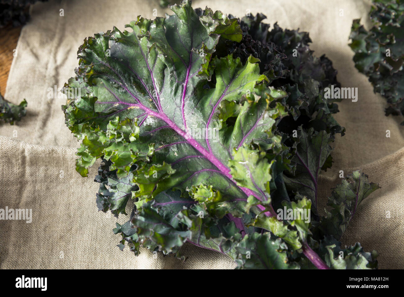 Organic Healthy Red Kale Ready to Eat Stock Photo Alamy