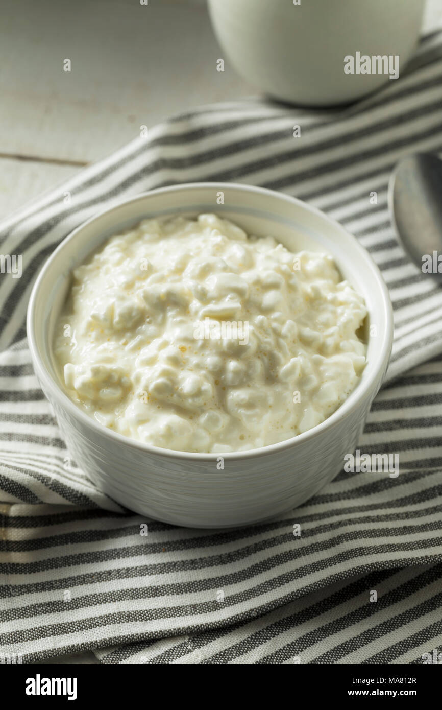 Homemade Low Fat Cottage Cheese Ready To Eat Stock Photo