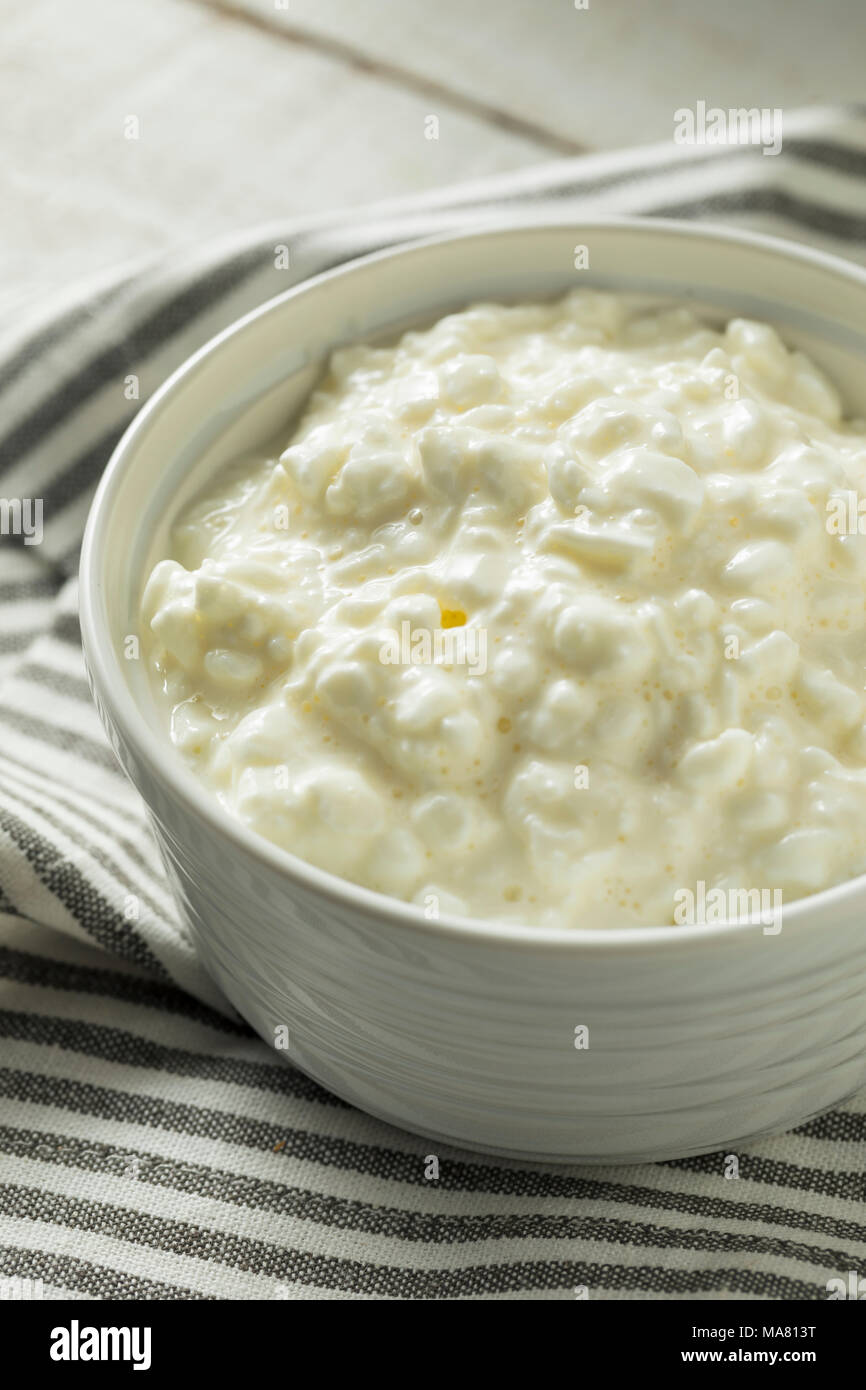 Homemade Low Fat Cottage Cheese Ready To Eat Stock Photo