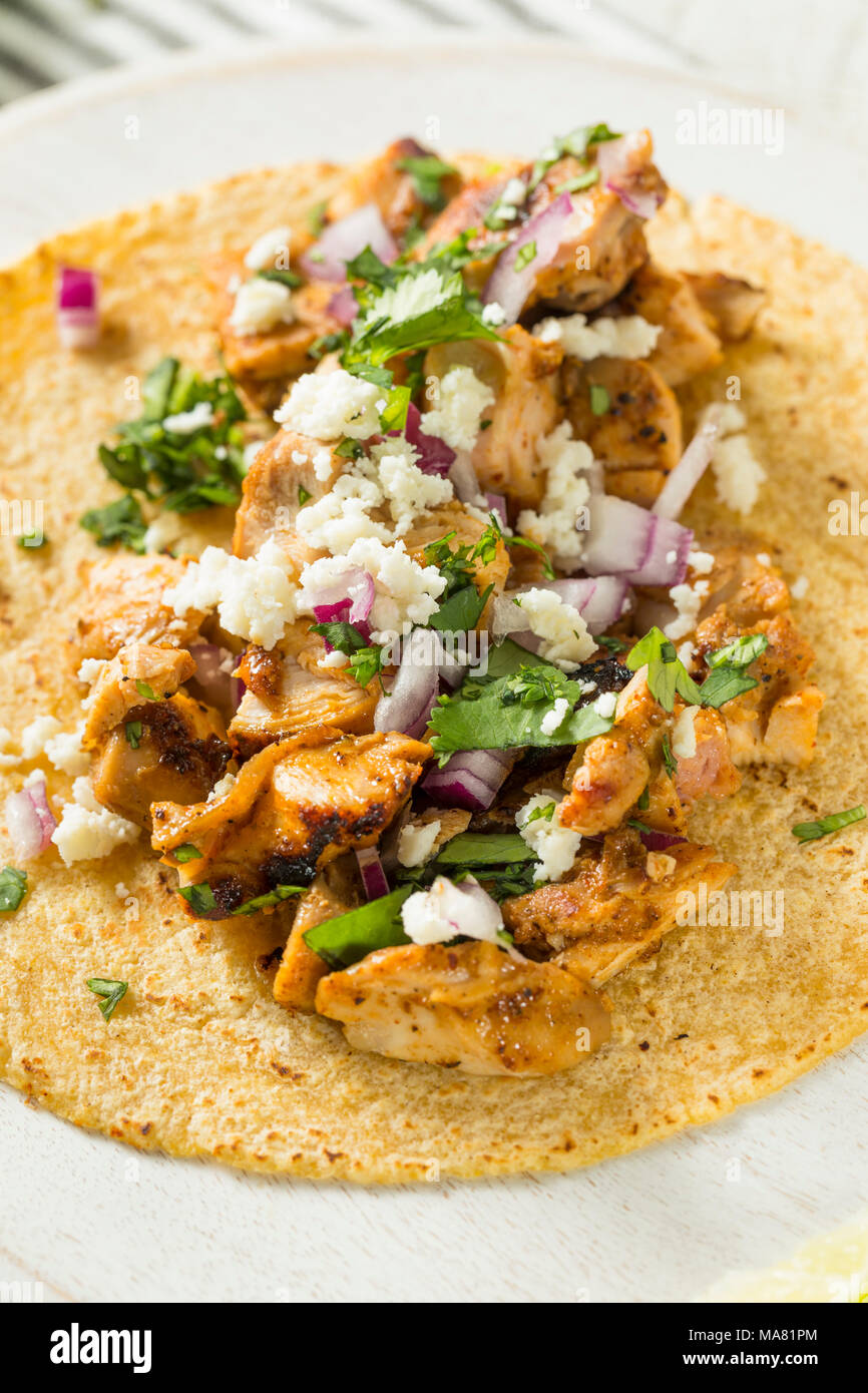 Homemade Chicken Tacos with Onion Cilantro and Cheese Stock Photo Alamy