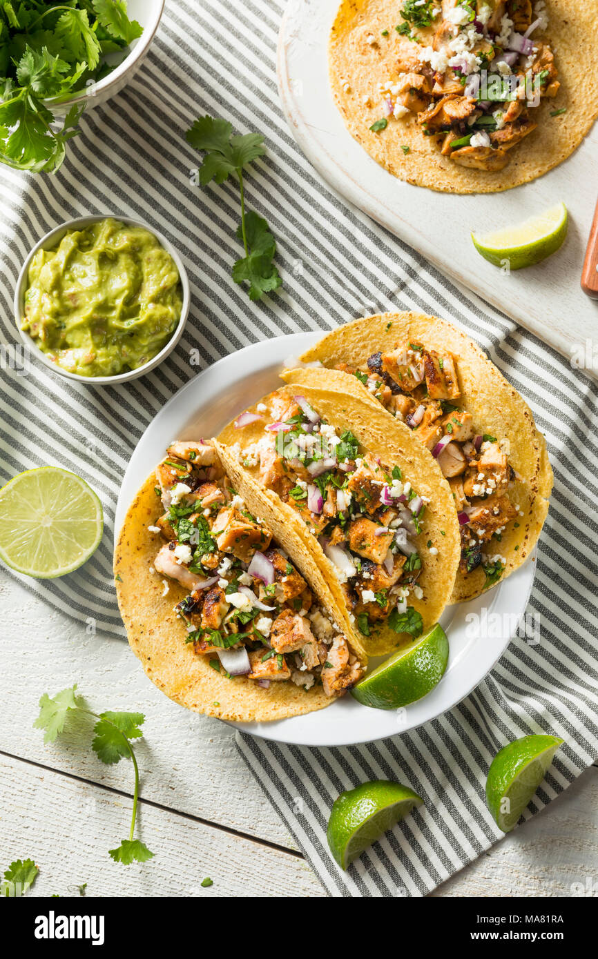 Homemade Chicken Tacos with Onion Cilantro and Cheese Stock Photo Alamy