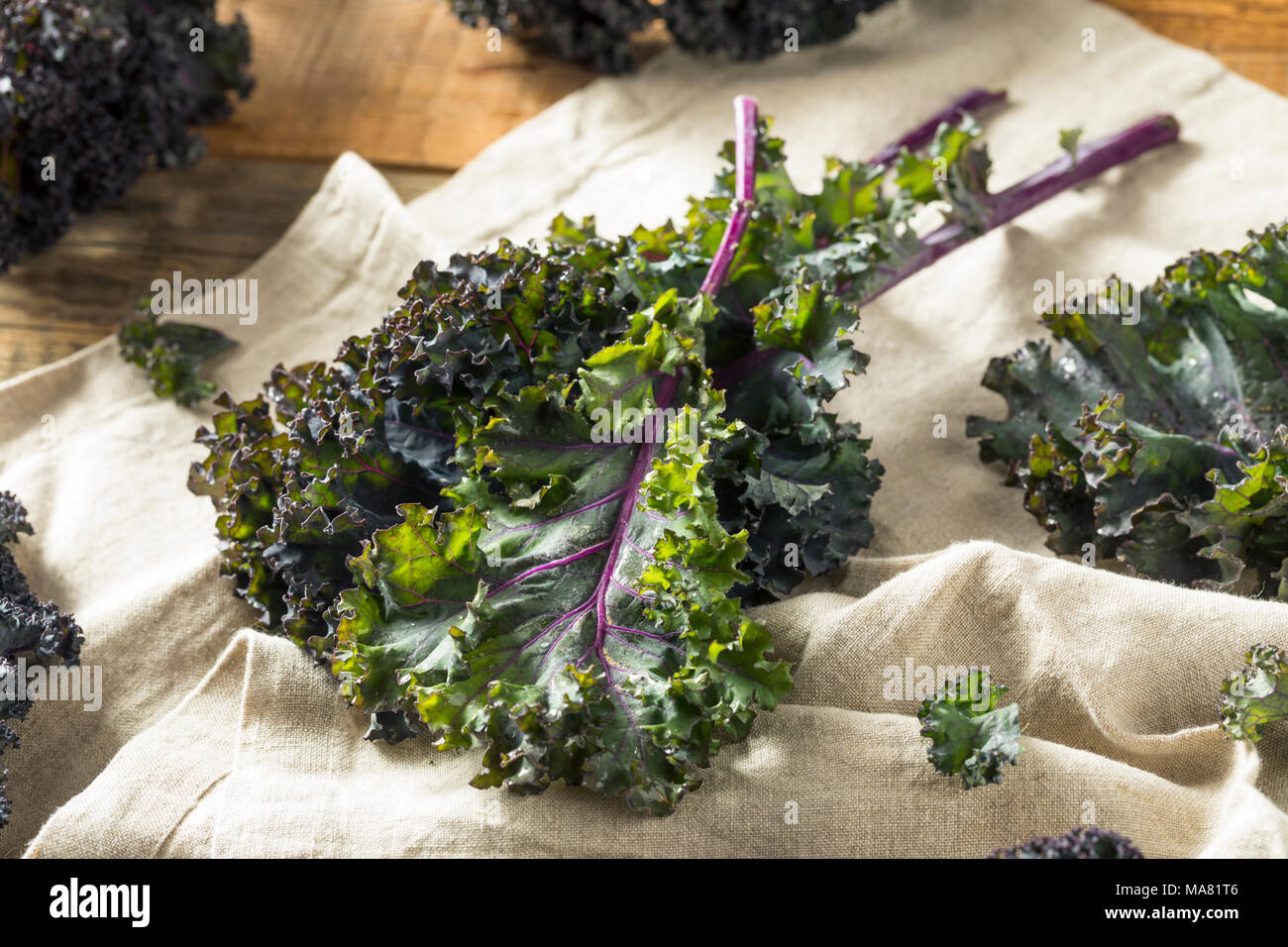 Organic Healthy Red Kale Ready to Eat Stock Photo Alamy