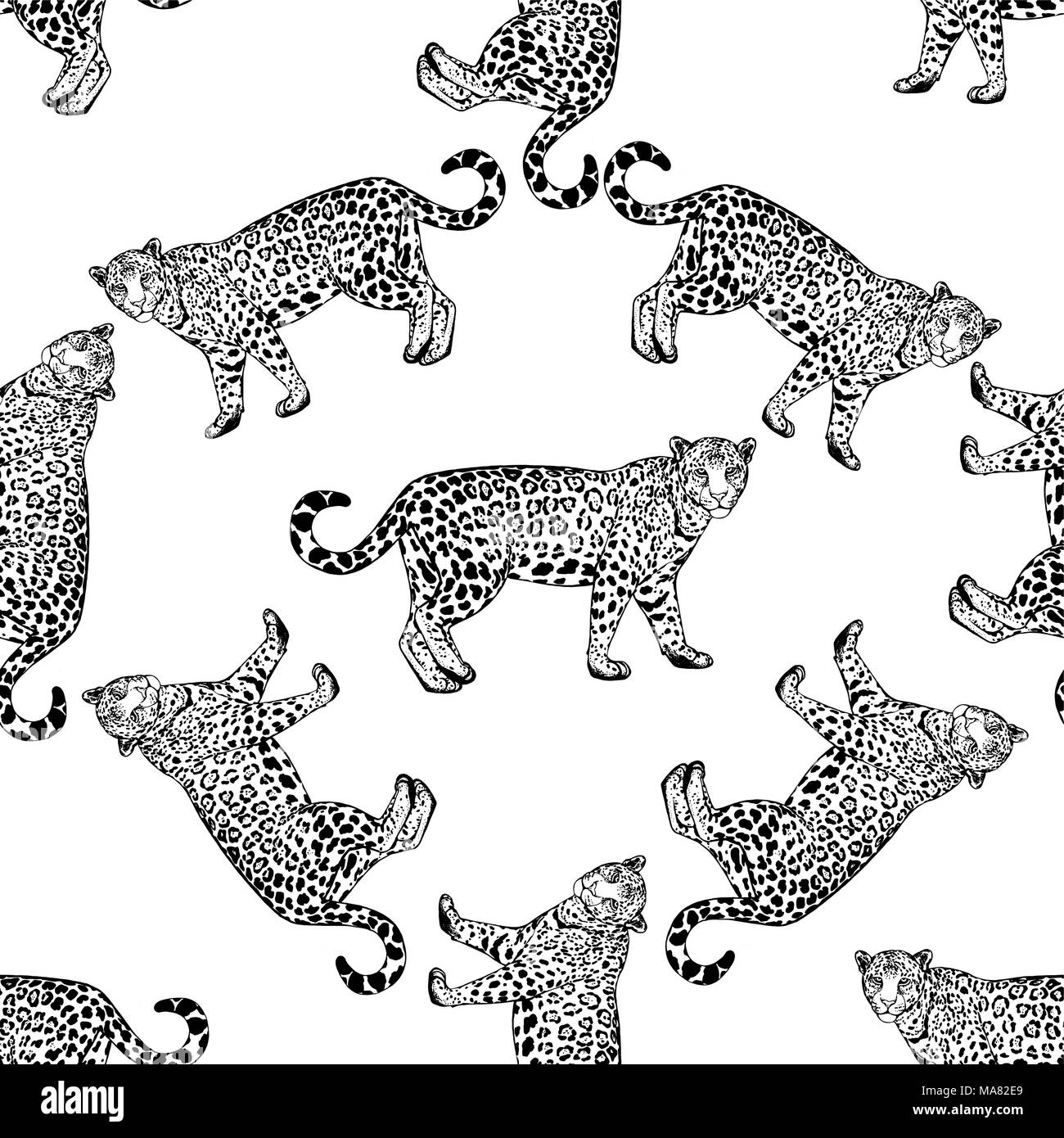 Seamless pattern of hand drawn sketch style leopards isolated on white ...