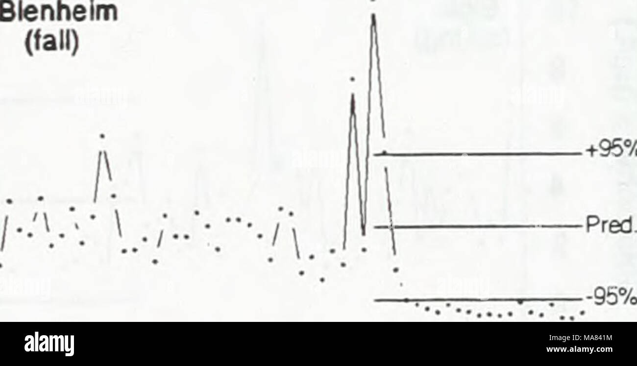 Zebra Mussels Lake Erie High Resolution Stock Photography and Images