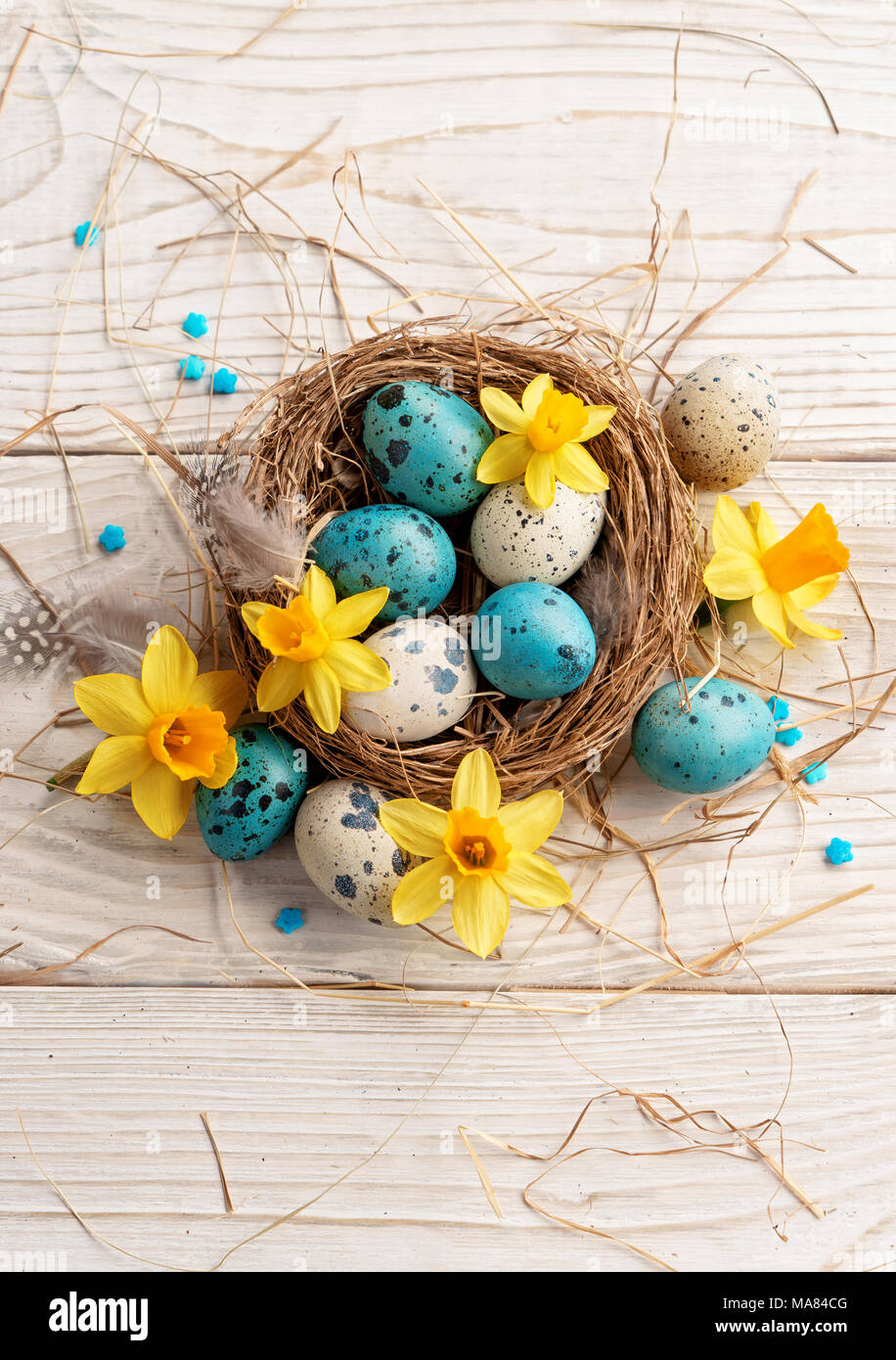 Easter background with Easter eggs and spring flowers. Top view with ...