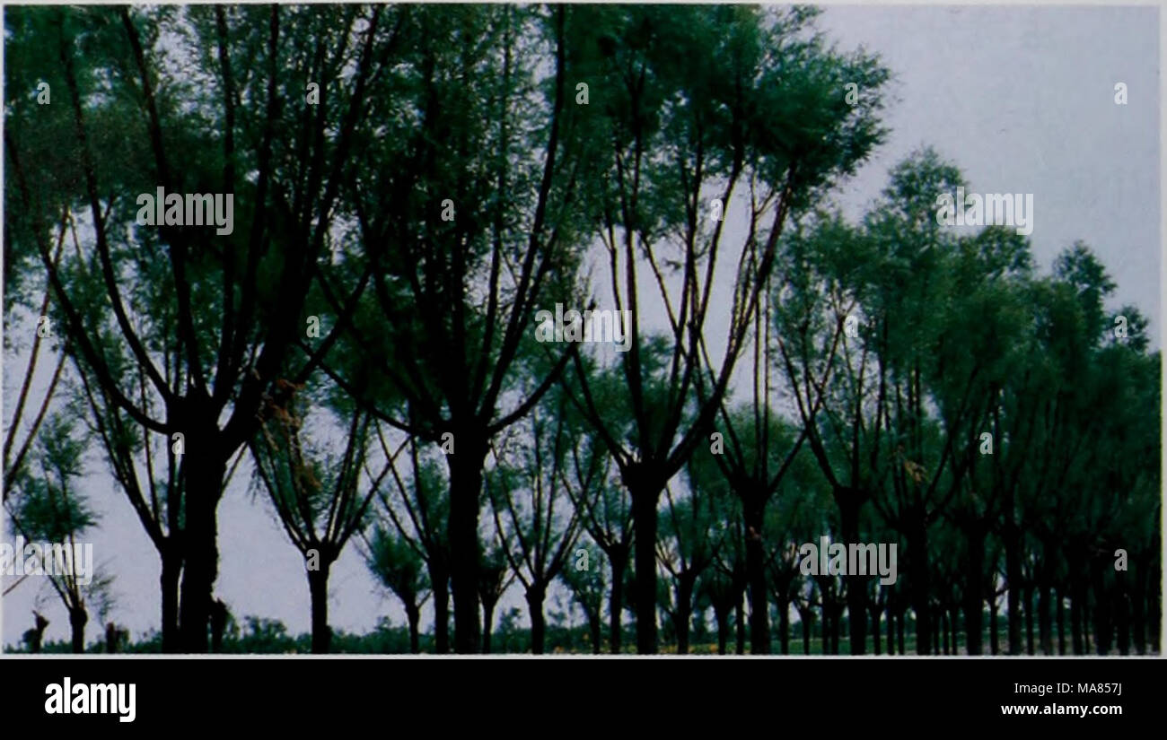 Ec e High Resolution Stock Photography And Images Alamy