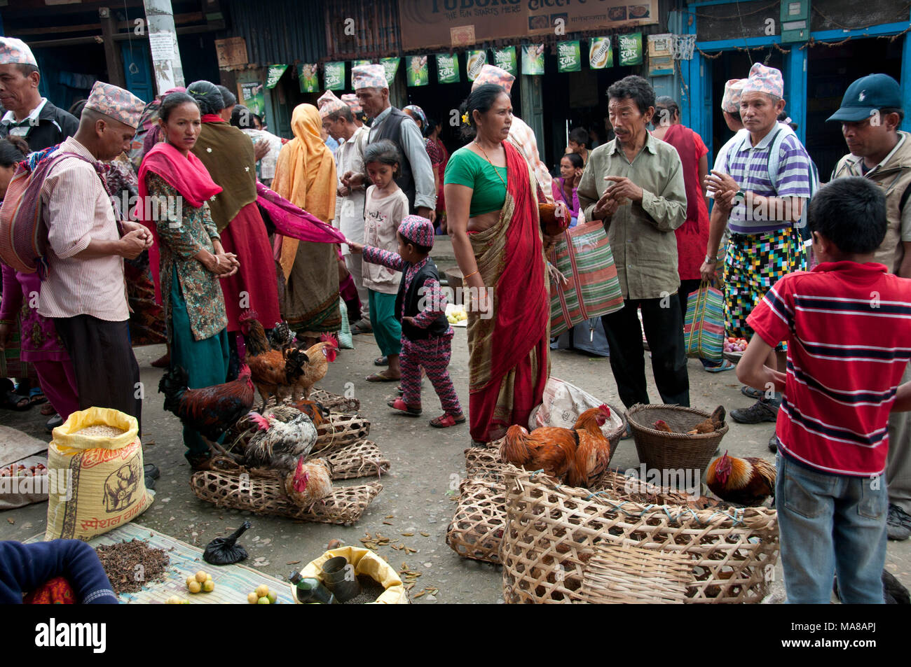 Nepal 2014. Manibanjan. Market day. Selling chickens. Stock Photo