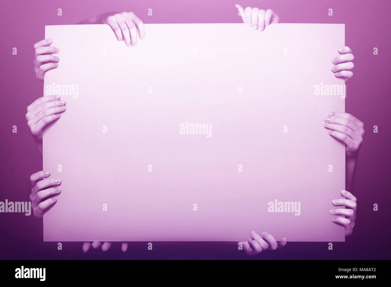 Pink Sheet Paper Large Banner In The Hands Of A Woman Closeup