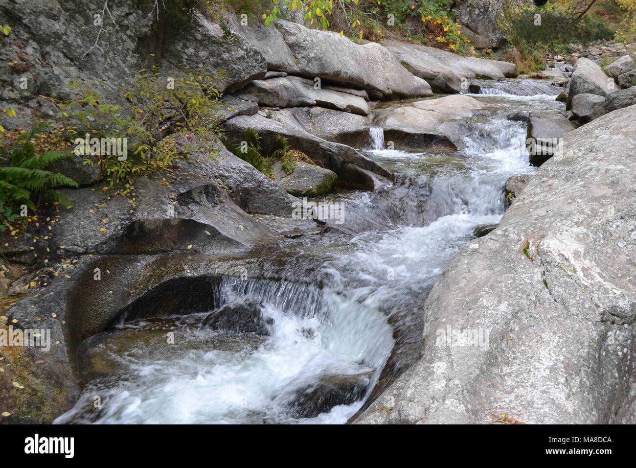 beautiful stream with water and stones in spring on a mountain Stock Photo
