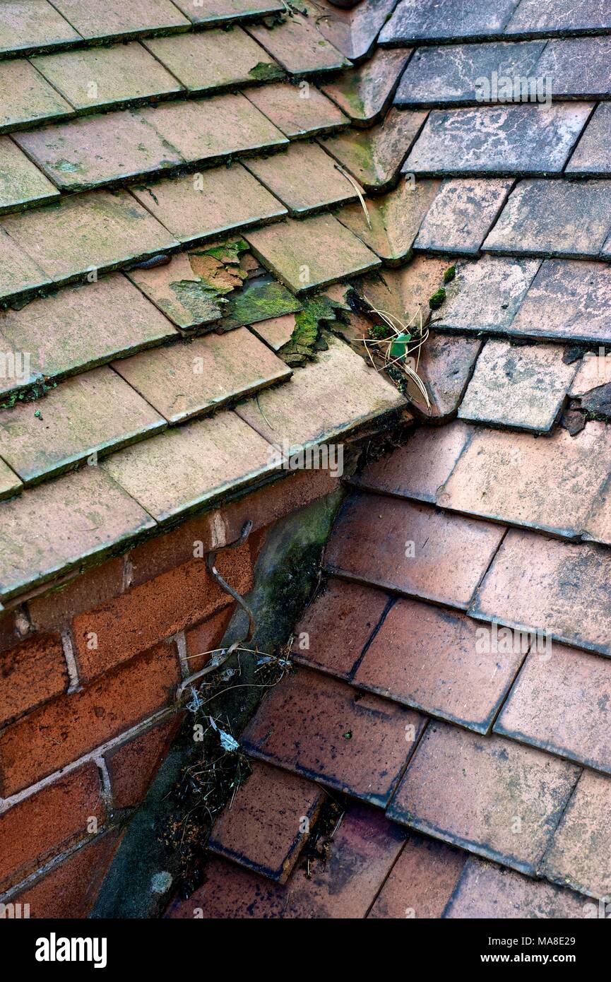 Part of Set of pictures showing original disrepair, then renovation of