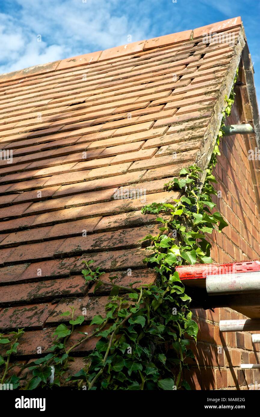 Part of Set of pictures showing original disrepair, then renovation of