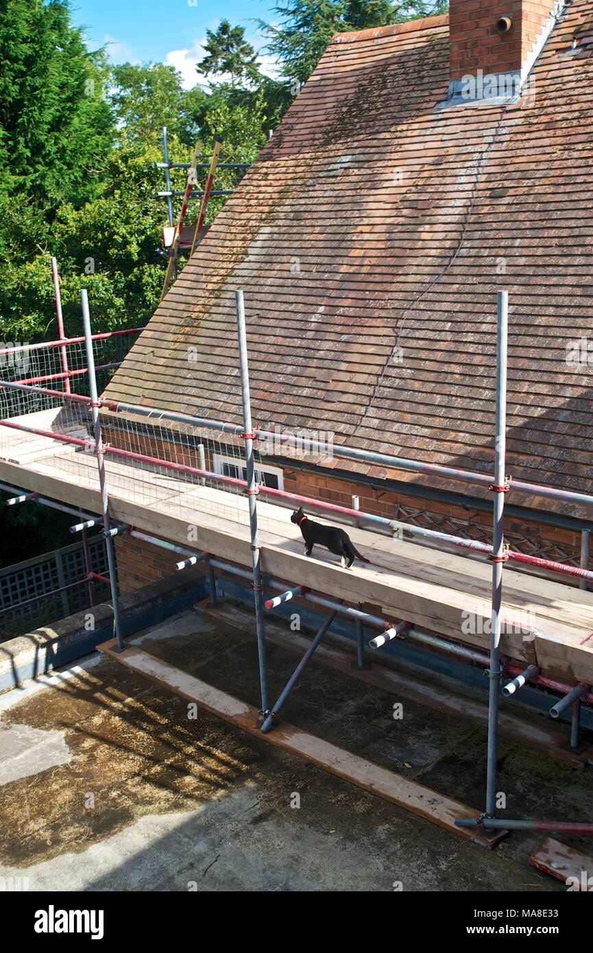 Part of Set of pictures showing original disrepair, then renovation of