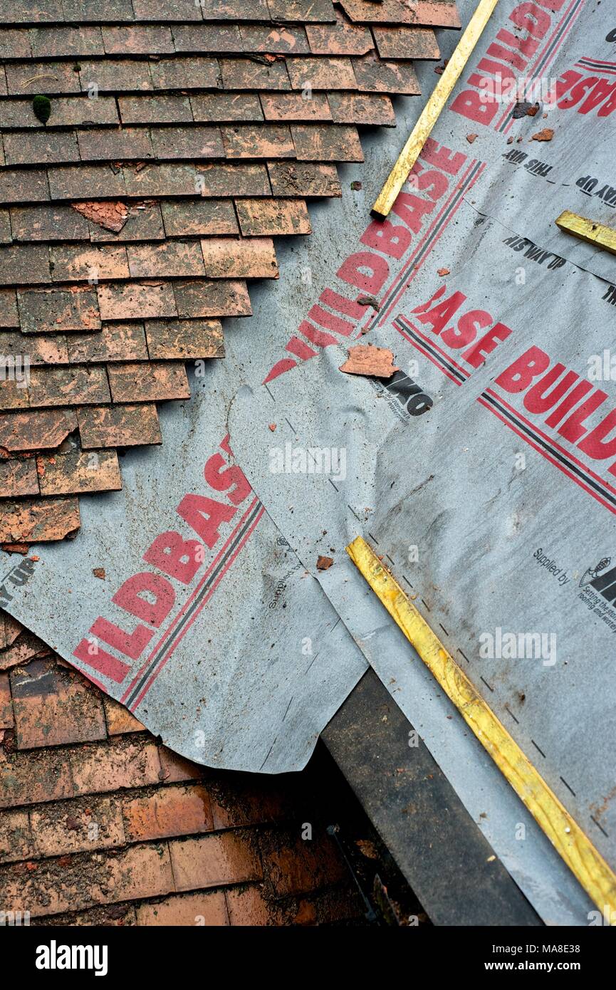 Eaves end roof tiles hires stock photography and images Alamy