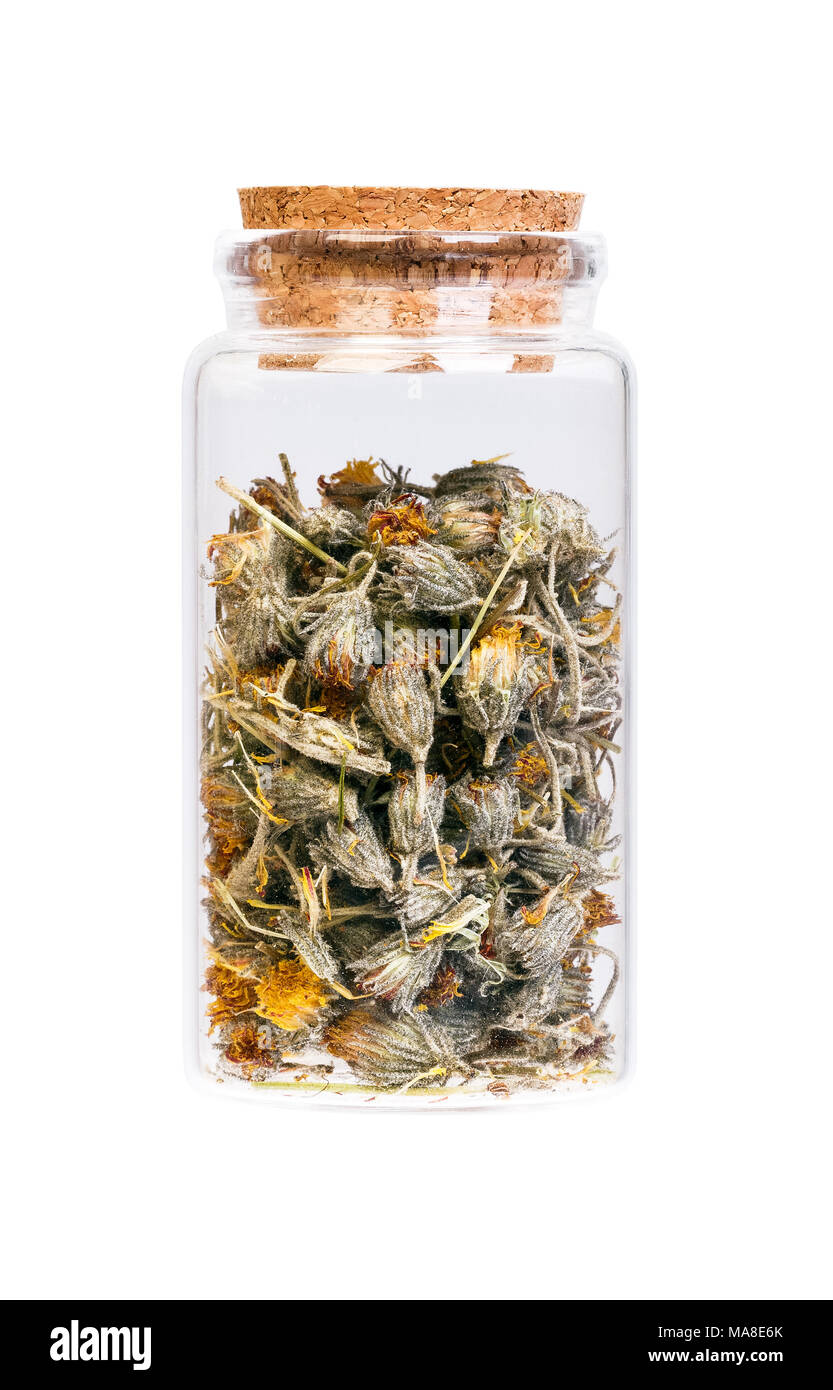Dried Hawkweed flowers in a bottle with cork stopper for medical Stock Photo