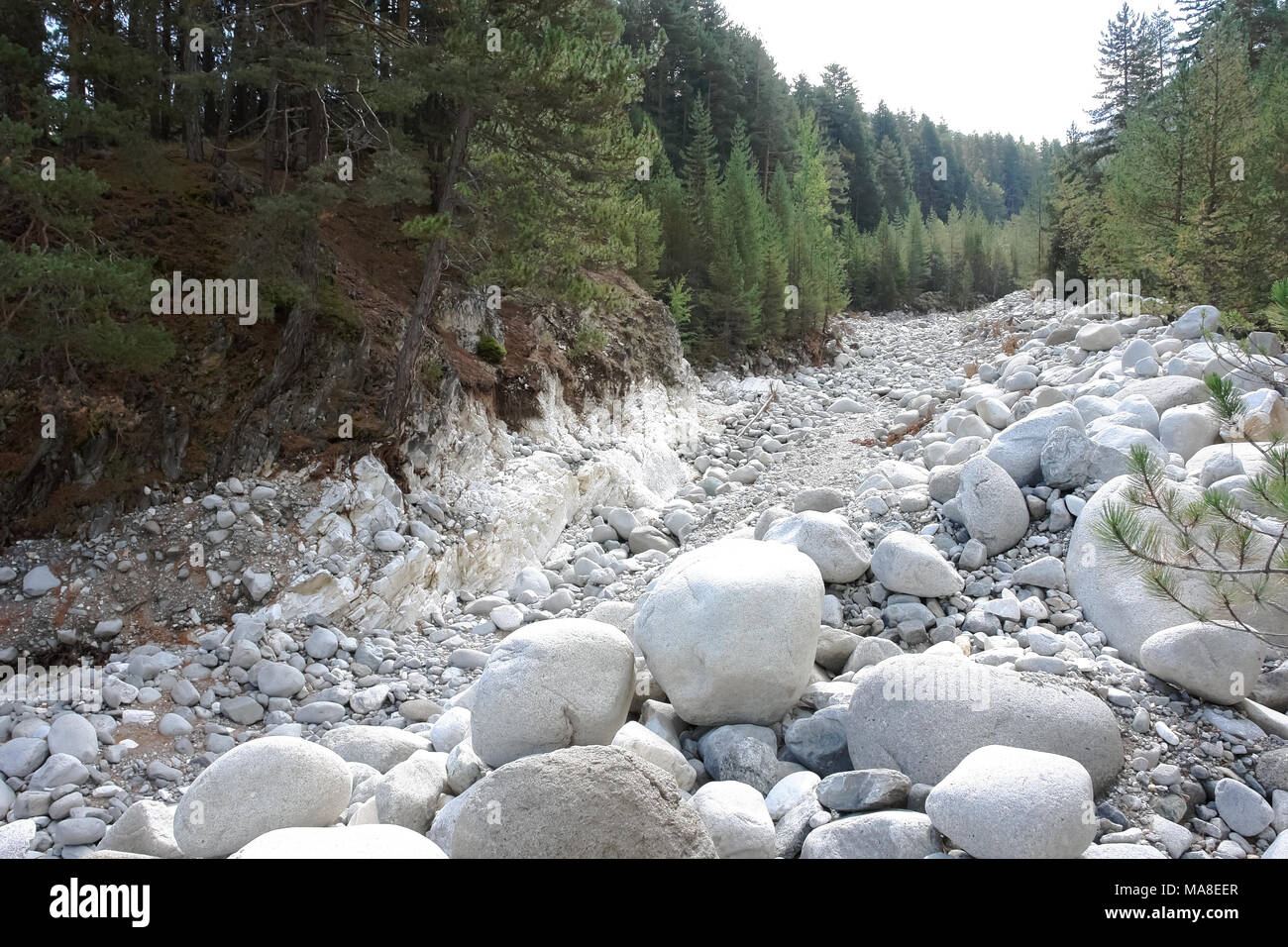 Dry riverbed of a mountain river with white boulders in Bansko. Stock Photo