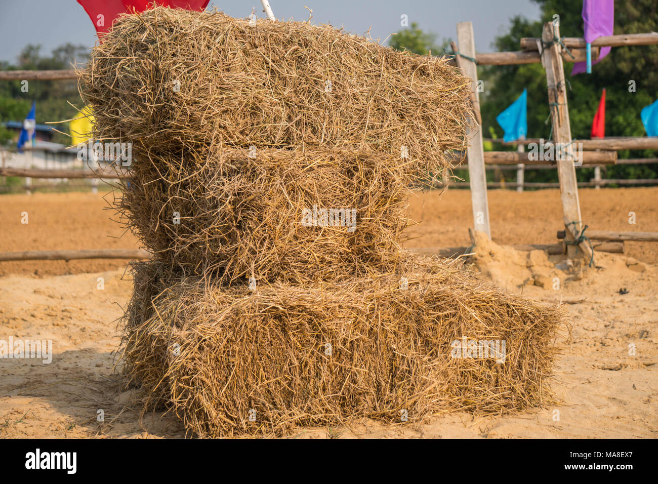A wall of rectangular bales of straw stacked in a field before being transported to shelter Stock Photo