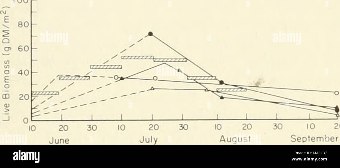 . Ecological investigations of the tundra biome in the Prudhoe Bay region, Alaska . 30 10 20 September Fig. 9. Predicted changes in live biomass availability based on data for late July (Table 12) and primary production rates for Barrow, Alaska (Tieszen 1971). U///A , values used to calculate eating rate (Fig. 10) and eating time (Fig. 11) for the estimation of daily food intake (Table 15). A , Eriophorum marsh; O, Dryas heath/Salix snowbed; 9, Dupontia brook bank; A , Carex marsh. food intake for all studies (2.92 g min'^). From such a high degree of variance, it can be inferred that factors  Stock Photo