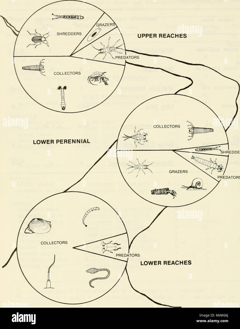 . An ecological characterization of Coastal Maine (north and east of