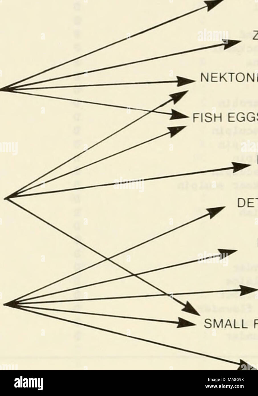 Phytoplankton zooplankton hires stock photography and images Alamy