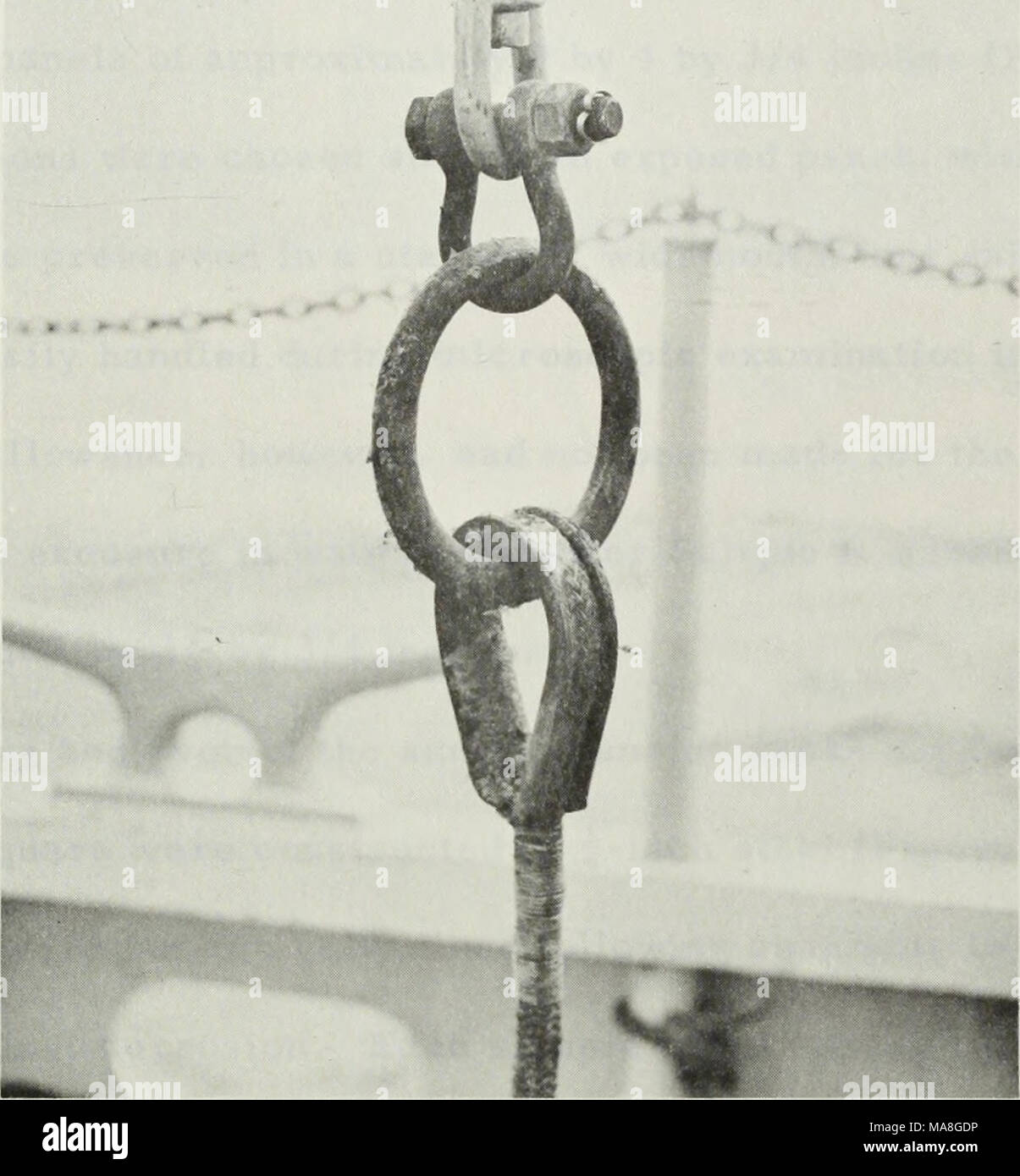 . Ecological aspects of two woodboring molluscs from the continental