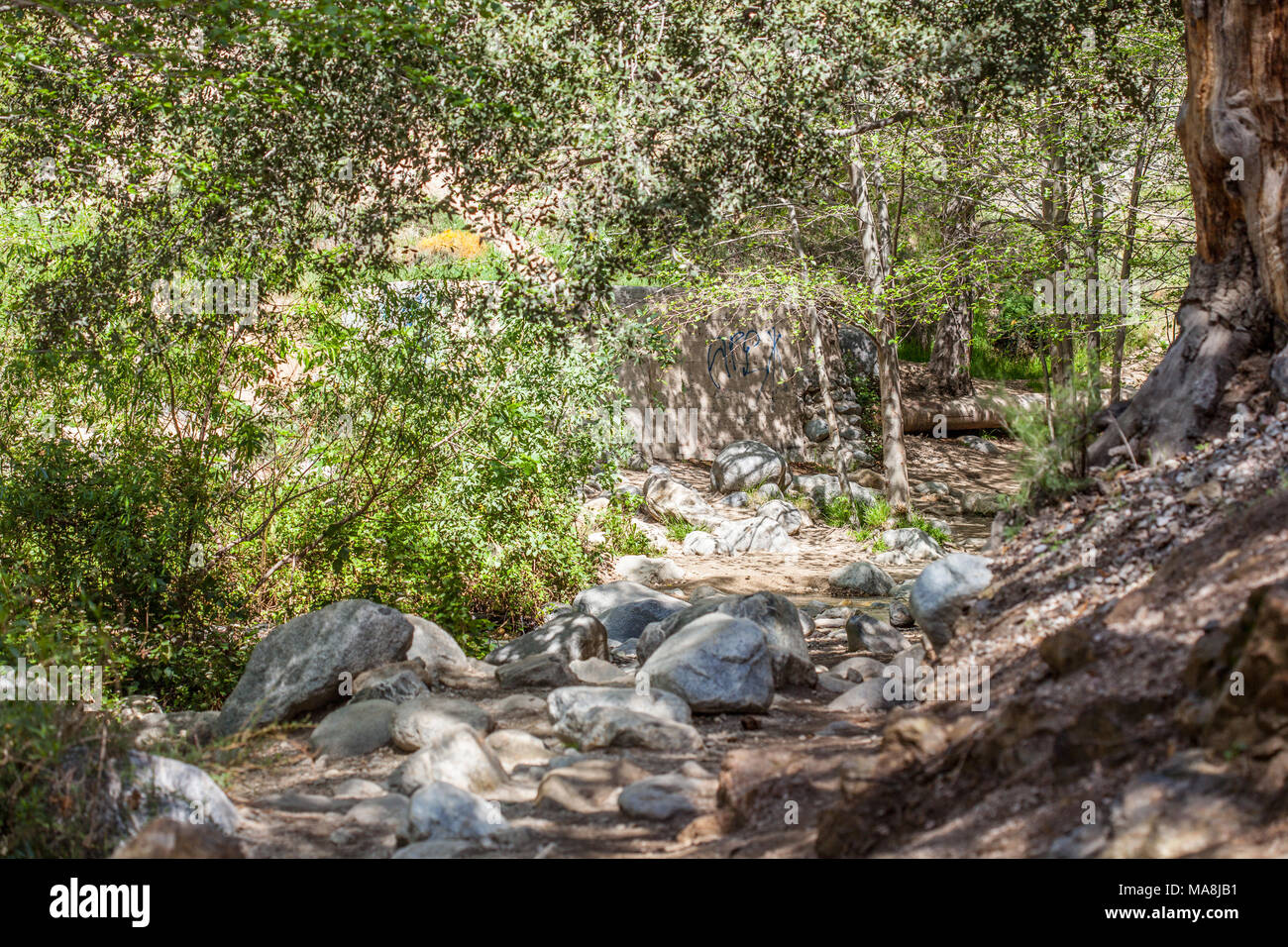 Eaton Canyon Natural Area is a 190-acre zoological, botanical, and geological nature preserve situated at the base of the beautiful San Gabriel Mounta Stock Photo