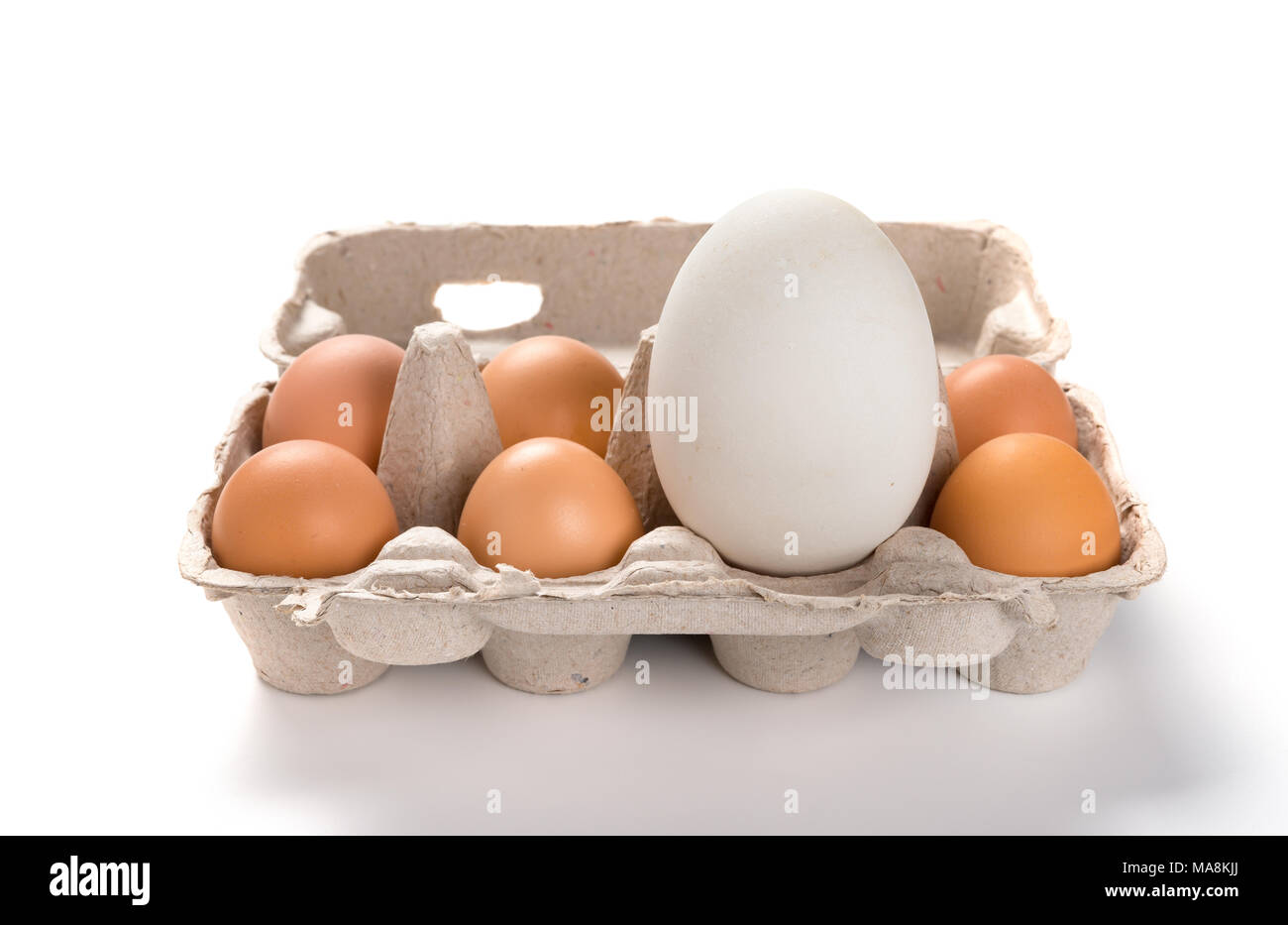 giant size goose egg between small chicken eggs in a package concept of size comparison Stock Photo