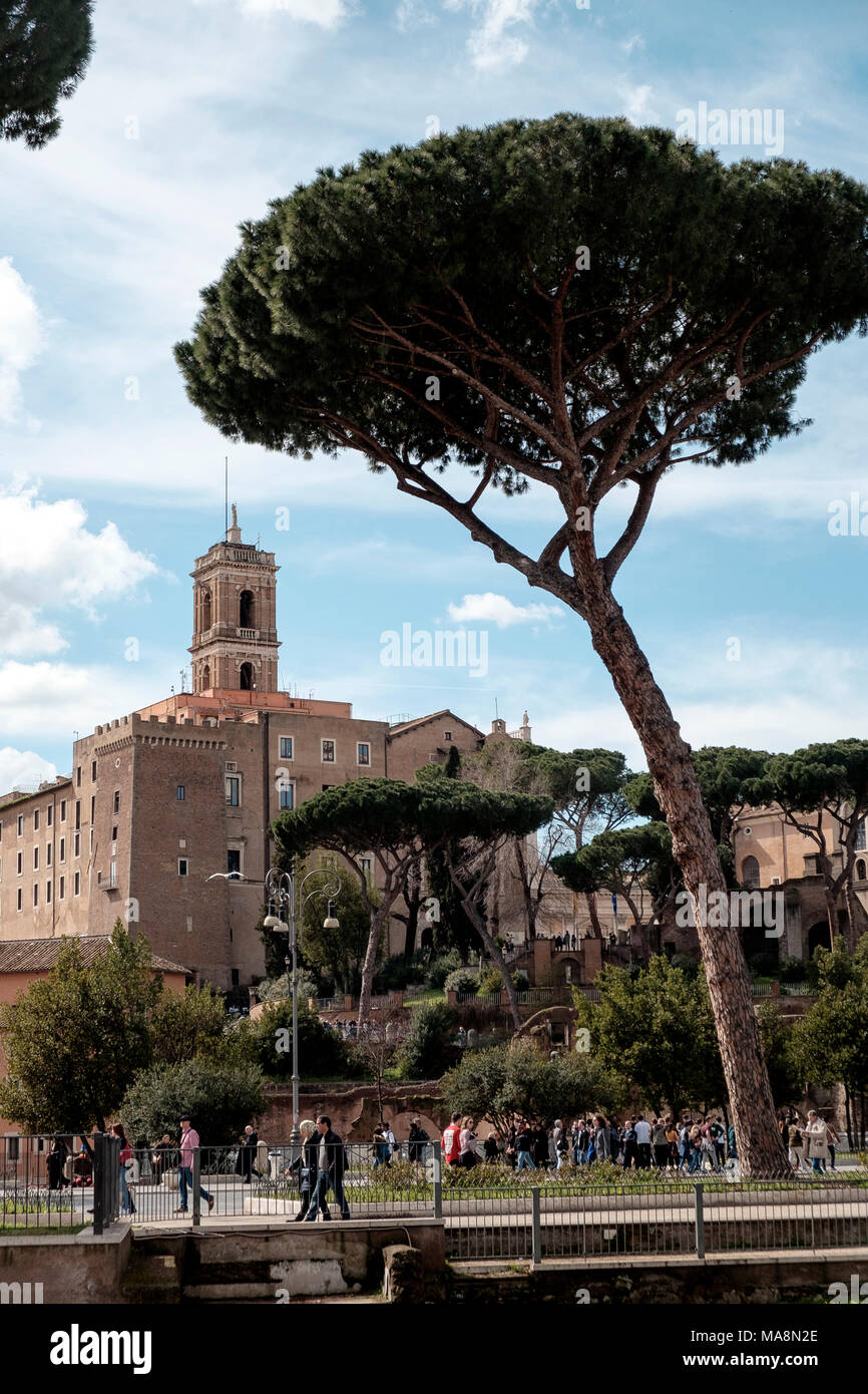 View across Via Dei Fori Imperiali to Basilica di Santa Maria in Ara Coeli, Rome Stock Photo