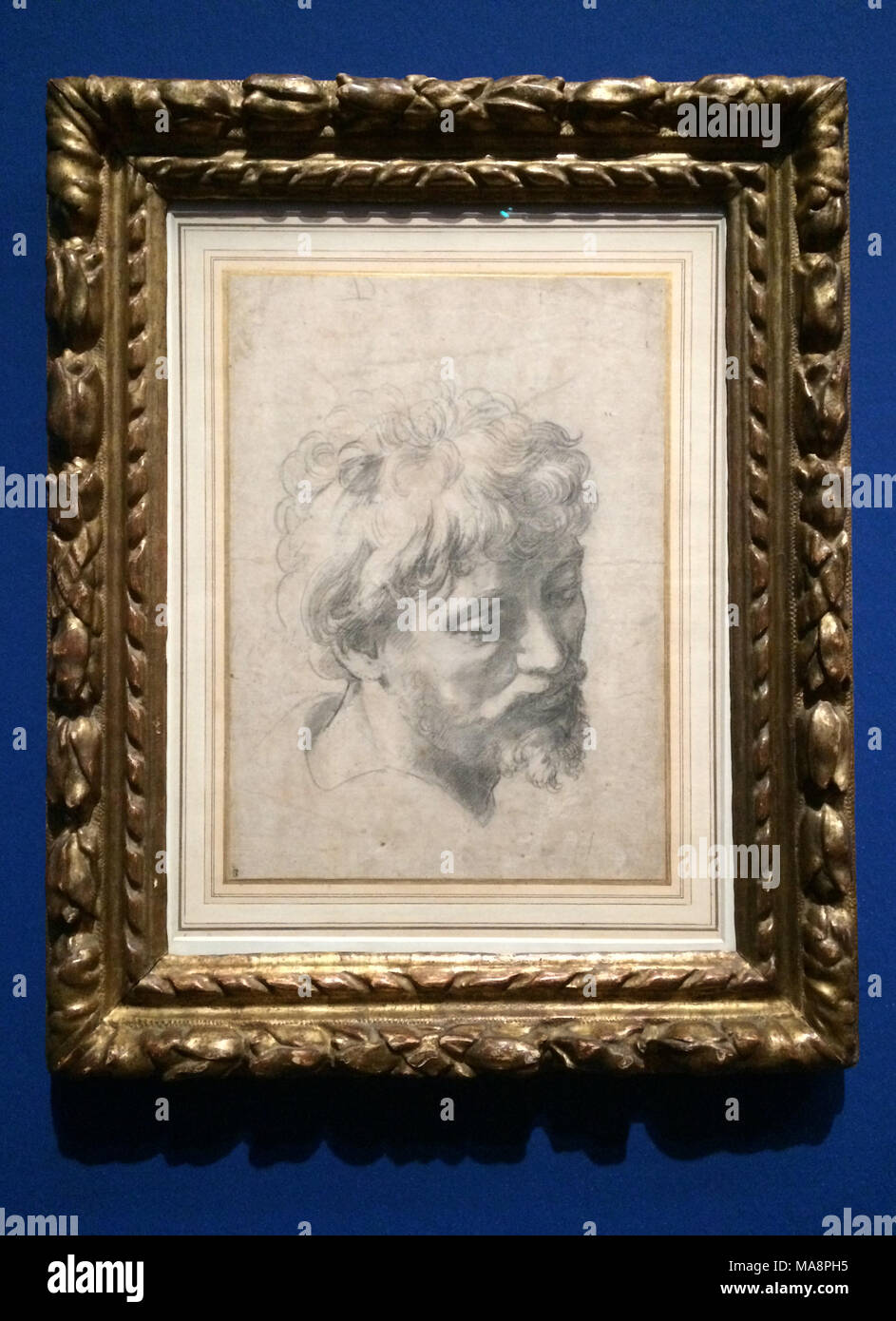 Black chalk drawing 'Head of a Young Apostle' (1518-1520) by Italian Renaissance painter Raphael on display at his retrospective exhibition in the Albertina Museum in Vienna, Austria. The drawing became the most expensive work on paper in the world after it was sold for £29.7 million on the Sotheby's in December 2012. The exhibition runs till 7 January 2018. Stock Photo