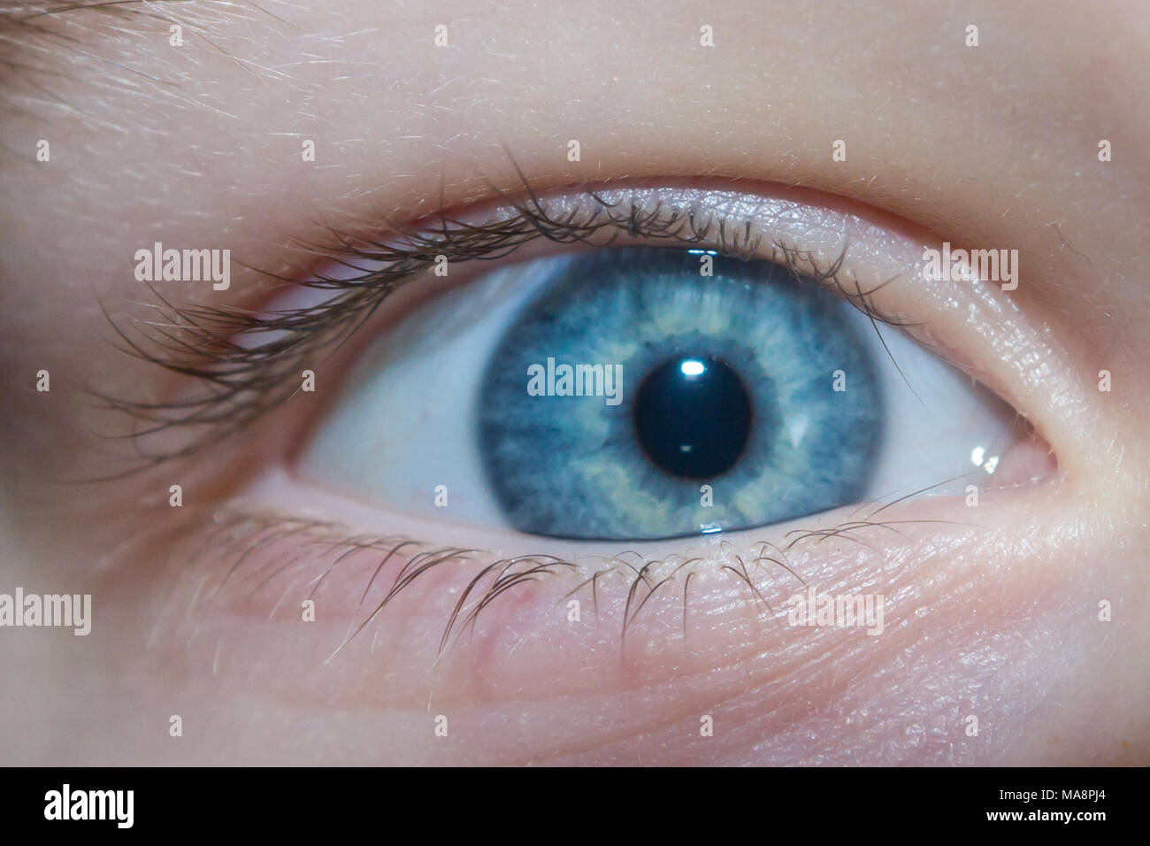 Baby blue beautiful, brooding eyes of a boy Stock Photo - Alamy
