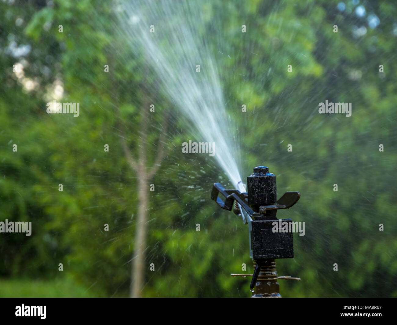 Automatic irrigation system waters the vegetation neighborhood Stock Photo Alamy