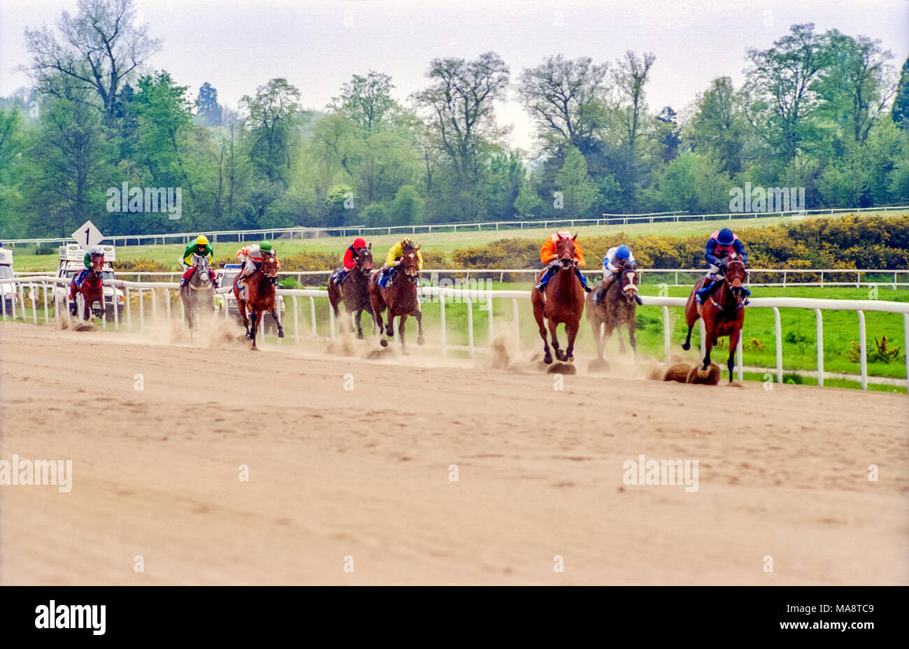 Horseracing at Lingfield Stock Photo Alamy
