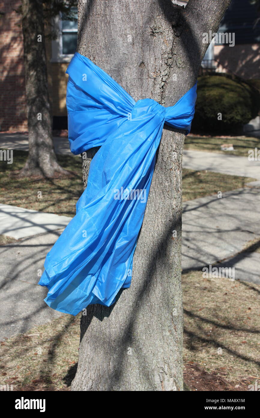 Plastic blue ribbon tied around a huge tree in solidarity with  #bluelivesmatter and #thankublu and #backtheblue Chicago Police Department  Stock Photo - Alamy