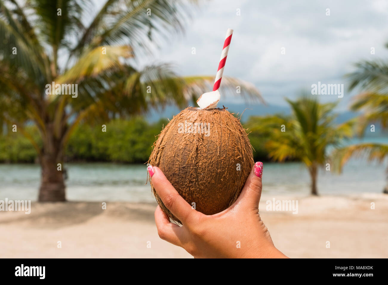 female hand holding coconut with drinking straw , palm tree  background Stock Photo