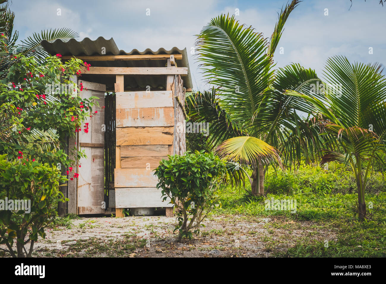 wooden hut , wood cabin or  toilet between palm trees Stock Photo