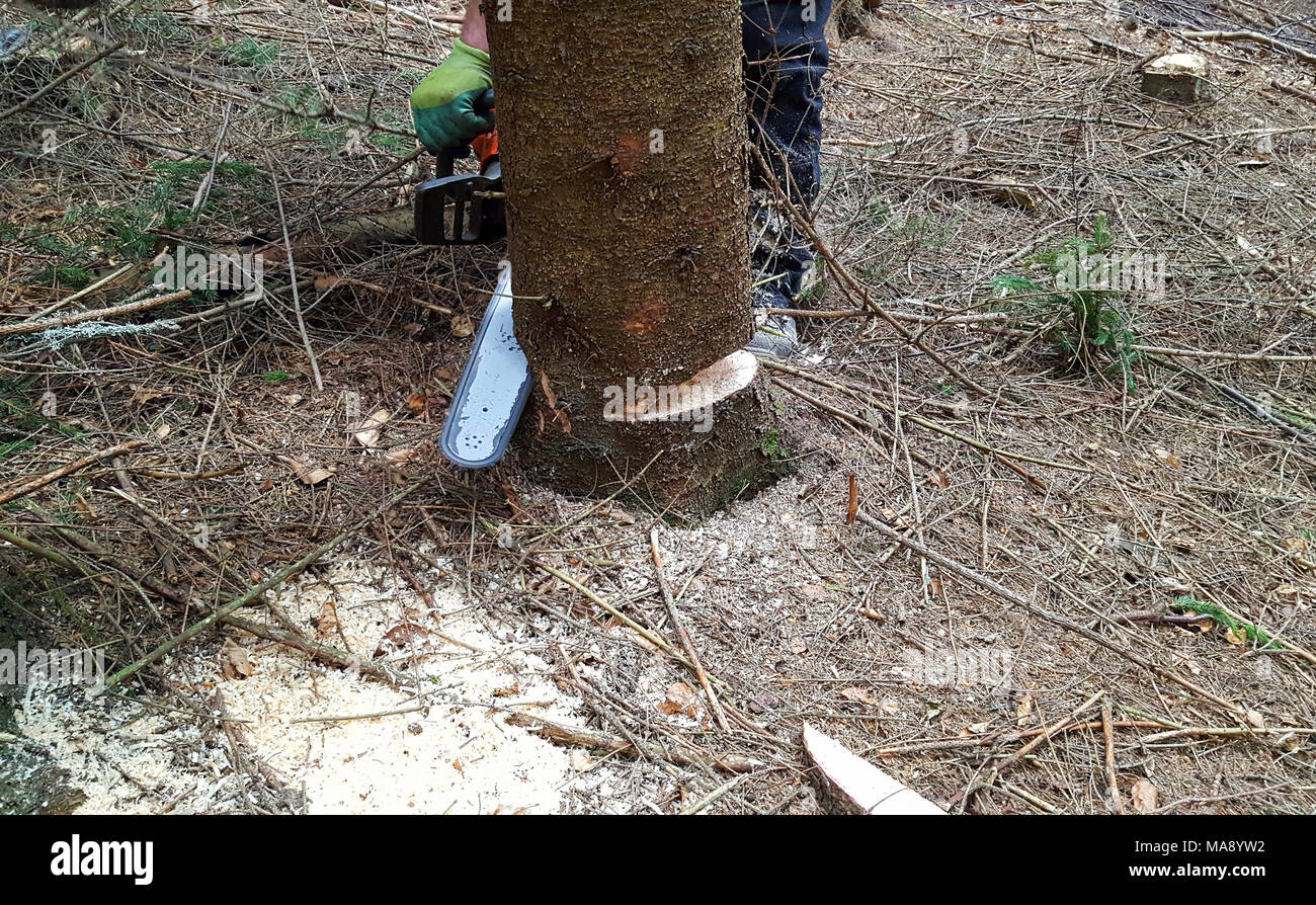 Man cuts log hi-res stock photography and images - Alamy