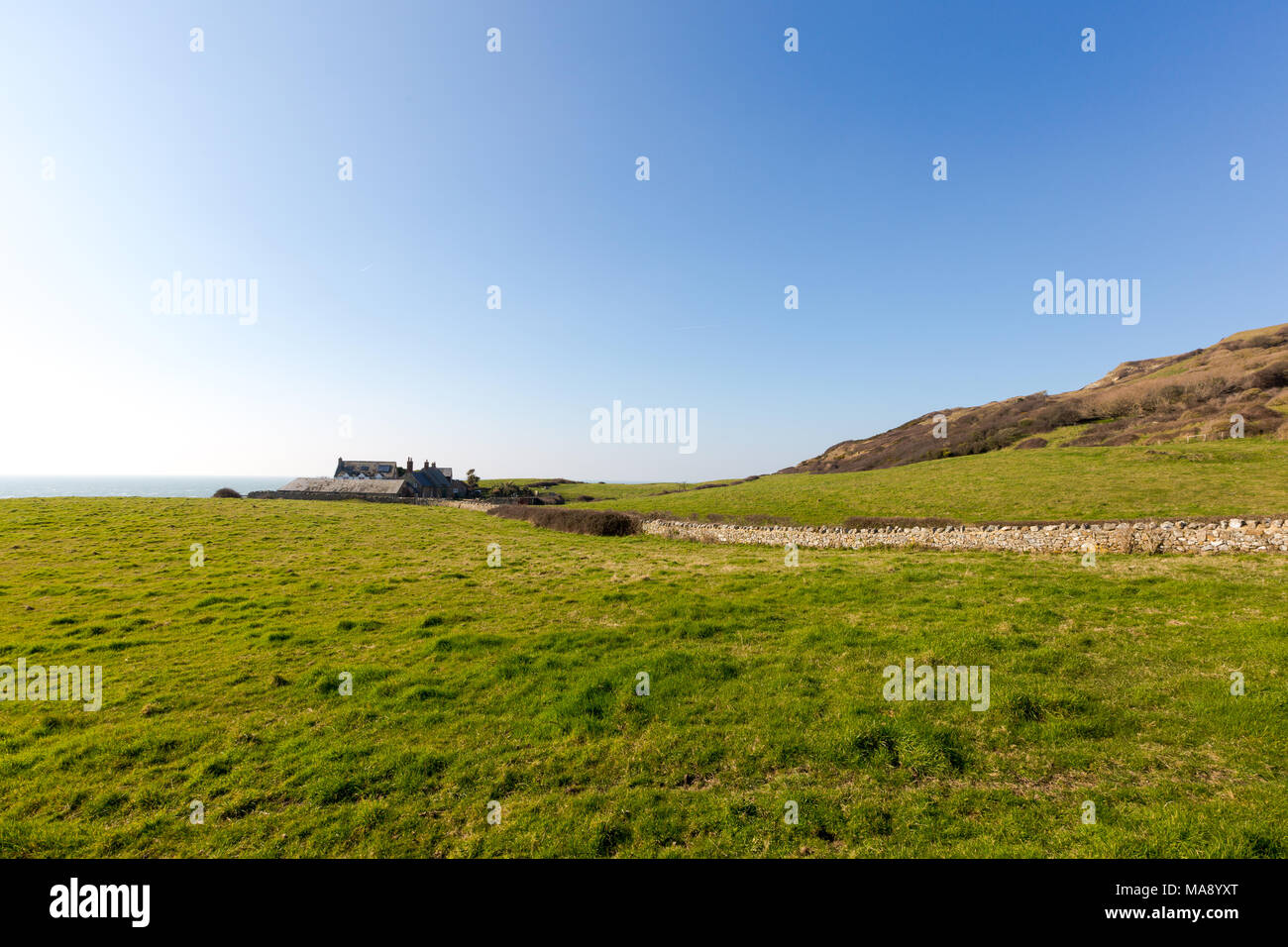 Isle of Wight, England, green land at Watershoot Bay. Landscape with bright green grass and blue sky, English Channel in bacground and small old house Stock Photo