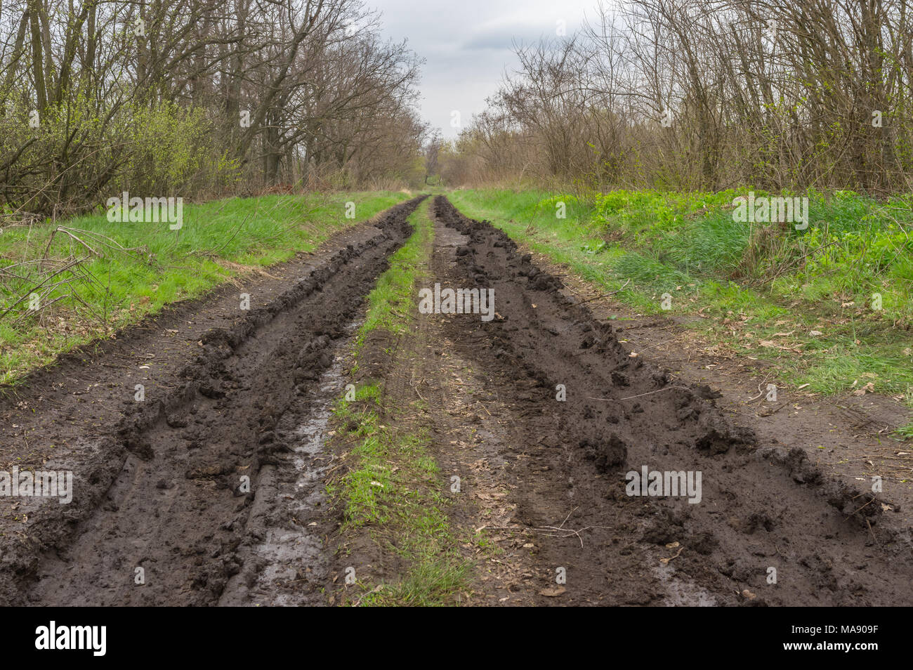 Early spring landscape with ruts on dirty road Stock Photo
