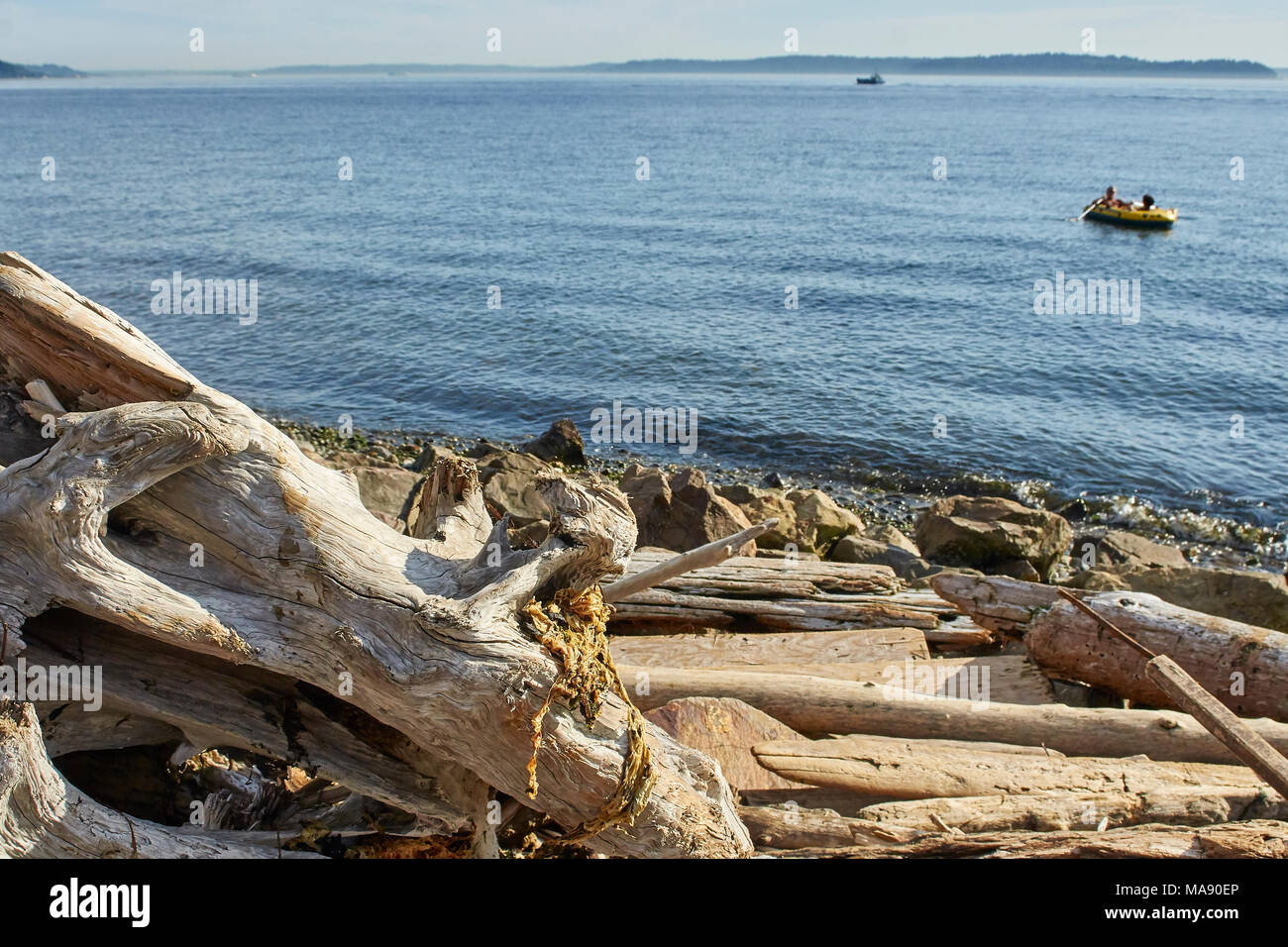 image taken around Alki Beach in seattle, washington state Stock Photo