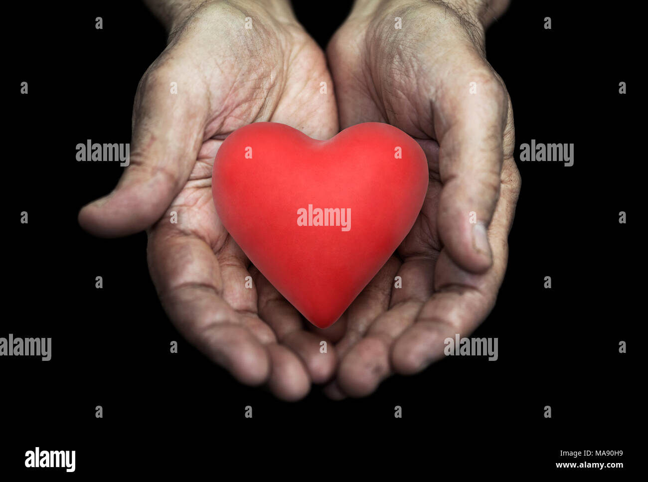 Red heart in senior hands over black background Stock Photo