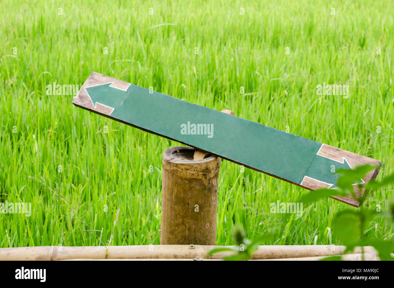 Old label rice hi-res stock photography and images - Alamy