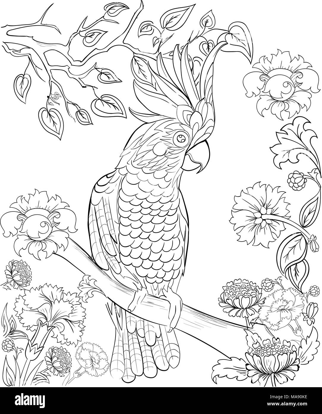 Bird Tattoo png images  PNGEgg