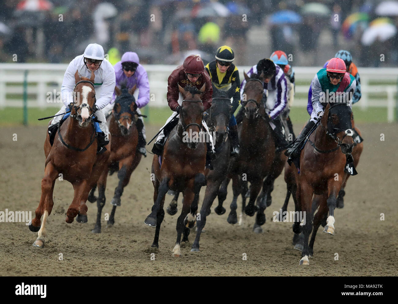 Aw championship finals day hi-res stock photography and images - Alamy