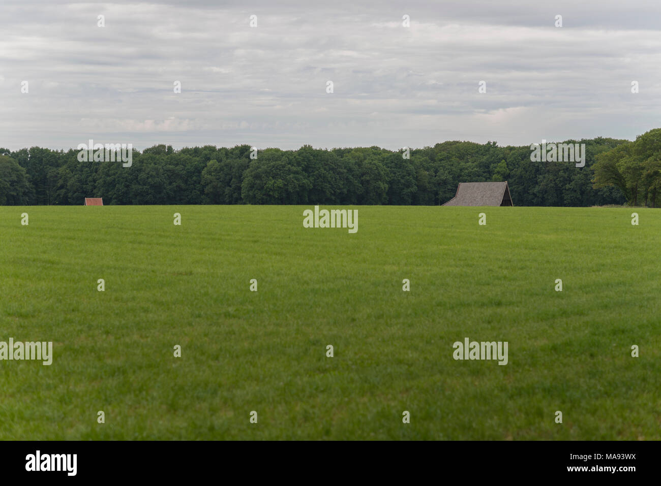 The characteristic half-open farmlands in the Achterhoek near Winterswijk in the Netherlands Stock Photo
