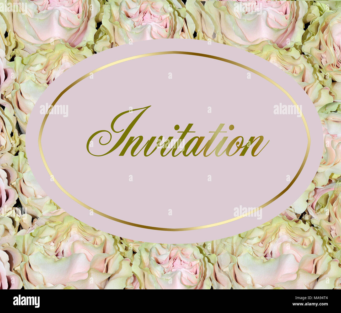 Beautiful wedding invitation with gentle pink roses with pale-green tint of petals  - elegant floral background, romantic art design with golden text  Stock Photo
