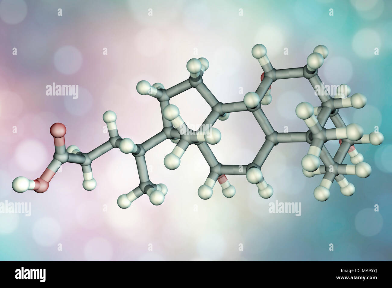 Bile acid (cholic acid, cholate) molecule. Cholic acid is the main bile ...