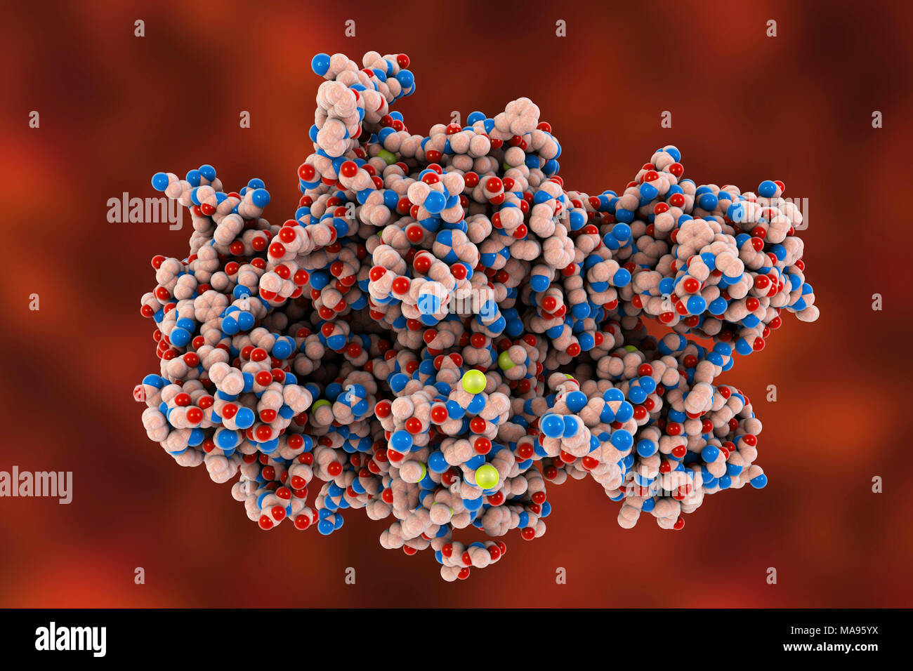 Factor viii deficiency hires stock photography and images Alamy