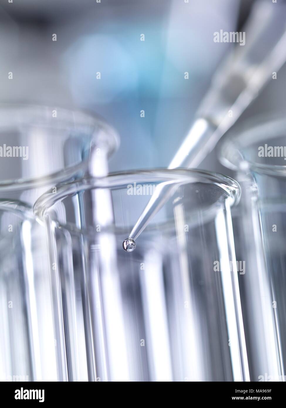 A pipette placing a sample into a test tube during a experiment in the ...