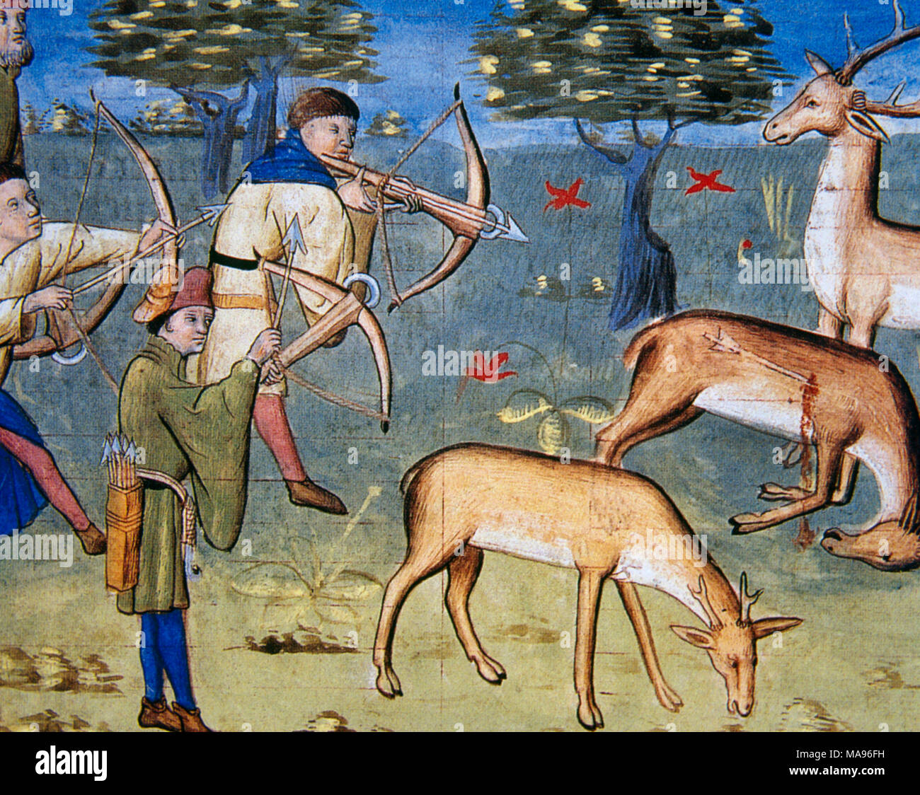 Le Livre de Chasse (Book of the Hunt) by Gaston Phobus (1331-1391). Written around 1387-1389. Book dedicated to Philip the Bond, Duke of Burgundy. Illuminated manuscript, 15th century. Hunting scene with bow and crossbows. Conde Museum. Chateau of Chantilly. France. Stock Photo