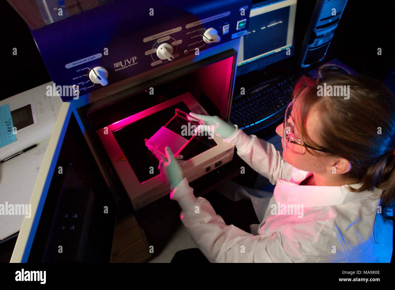 High angle photograph of Amanda McNulty, a NCHHSTP staff member, in a laboratory setting, holding an electrophoresis plate for DNA separation over the UVP imaging System, in an effort to examine HIV resistance to antiretroviral drugs, in people from PEPFAR (President's Emergency Plan for AIDS Relief) countries, 2007. Image courtesy CDC/Hsi Liu. () Stock Photo