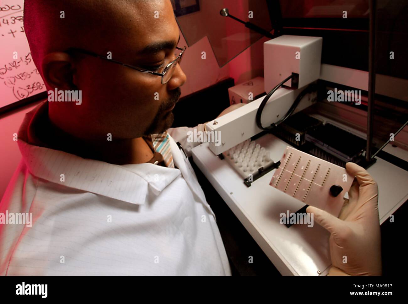 Close up photograph of the CDC biologist Damian Danavall and a NCHHSTP staff member, working in a laboratory, setting up a machine for handling liquids, for the purpose of performing a PCR test for detecting Herpes Simplex Virus 2, 2007. Image courtesy CDC/Hsi Liu, James Gathany. () Stock Photo